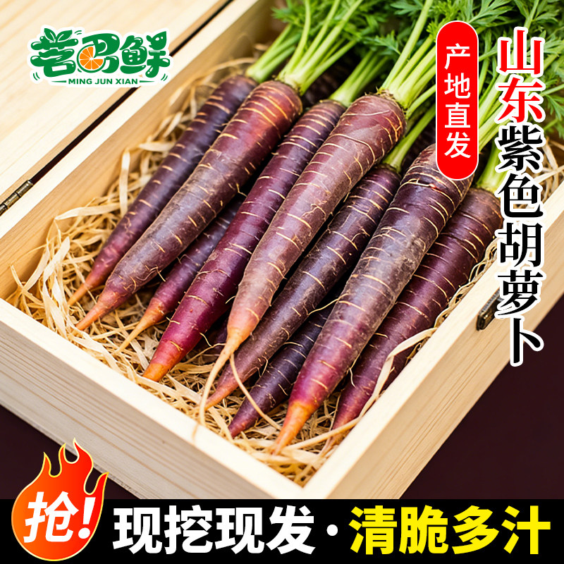 紫色胡萝卜新鲜现挖生吃的水果黑紫心紫皮萝卜紫美人农家自种蔬菜