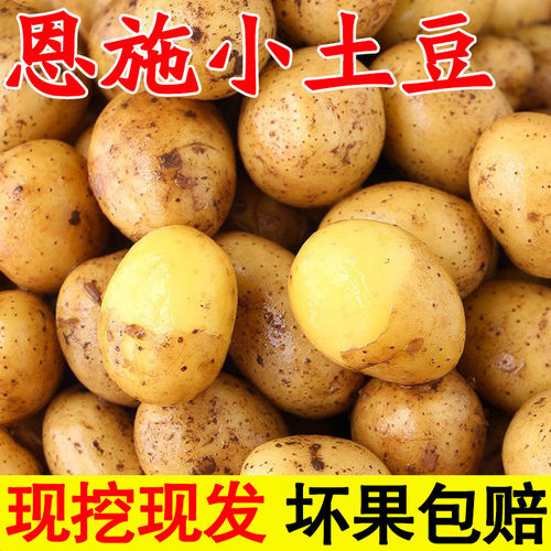 恩施小土豆现挖湖北新鲜黄心土豆