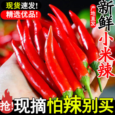 小米辣椒新鲜批发小米椒当季蔬菜特辣指朝天椒正宗红辣椒农家自种