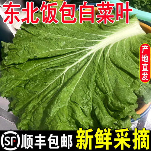 东北饭包白菜叶蘸酱菜现摘即食