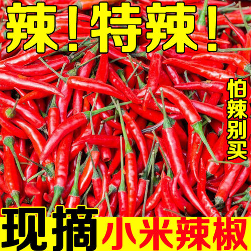 小米辣椒新鲜蔬菜小米椒现摘商用