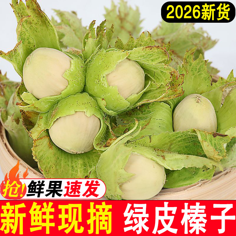 东北特产新鲜榛子新货现摘带绿皮生水仁大榛子2026年坚果瓤送钳子
