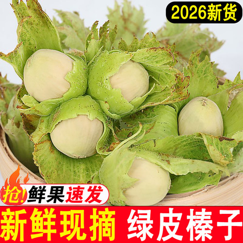 2026年新鲜榛子新货现摘东北特产