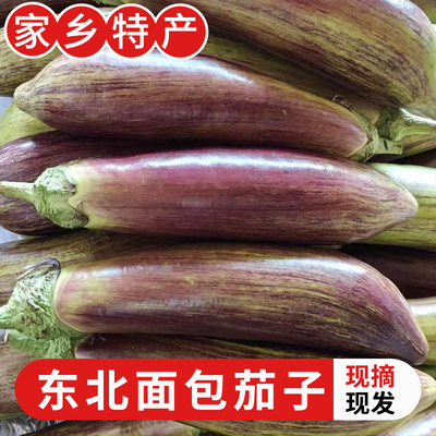 东北新鲜面包茄子农家现摘蔬菜