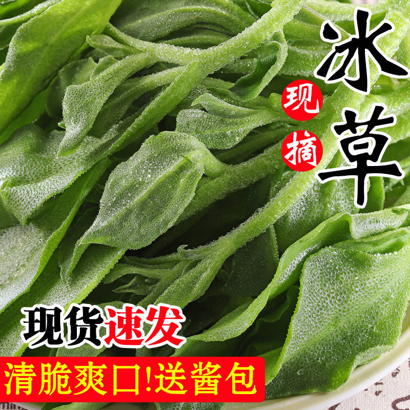 顺丰冰草新鲜蔬菜冰菜非洲生菜沙拉菜鲜嫩凉拌菜即食水晶火锅生吃
