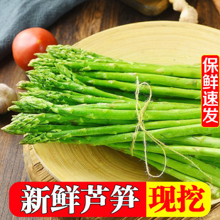 山东芦笋新鲜产地直销蔬菜食用嫩绿芦笋尖卢笋青笋大笋龙须菜现挖