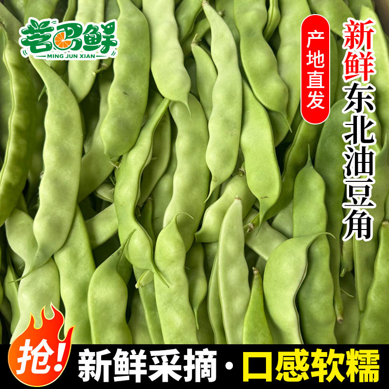 东北油豆角现摘新鲜豆角应季蔬菜图片