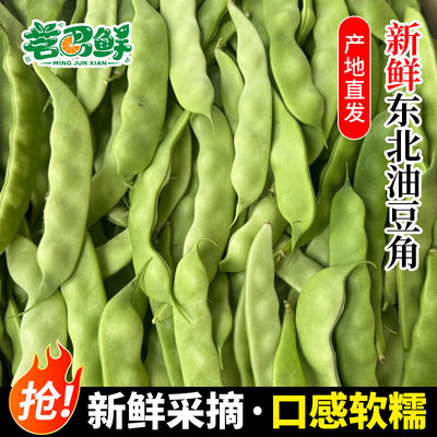 东北油豆角现摘新鲜豆角应季蔬菜