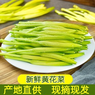 4斤现发野生金针菜农家野菜时令蔬菜凉拌土特产 黄花菜2