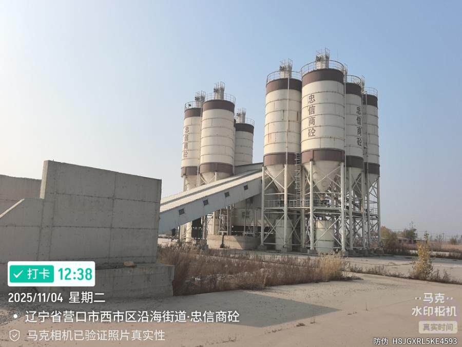 3月24日营口徐工牌混凝土搅拌站生产线2套（HZS270K/HZS270K）网络拍卖公告