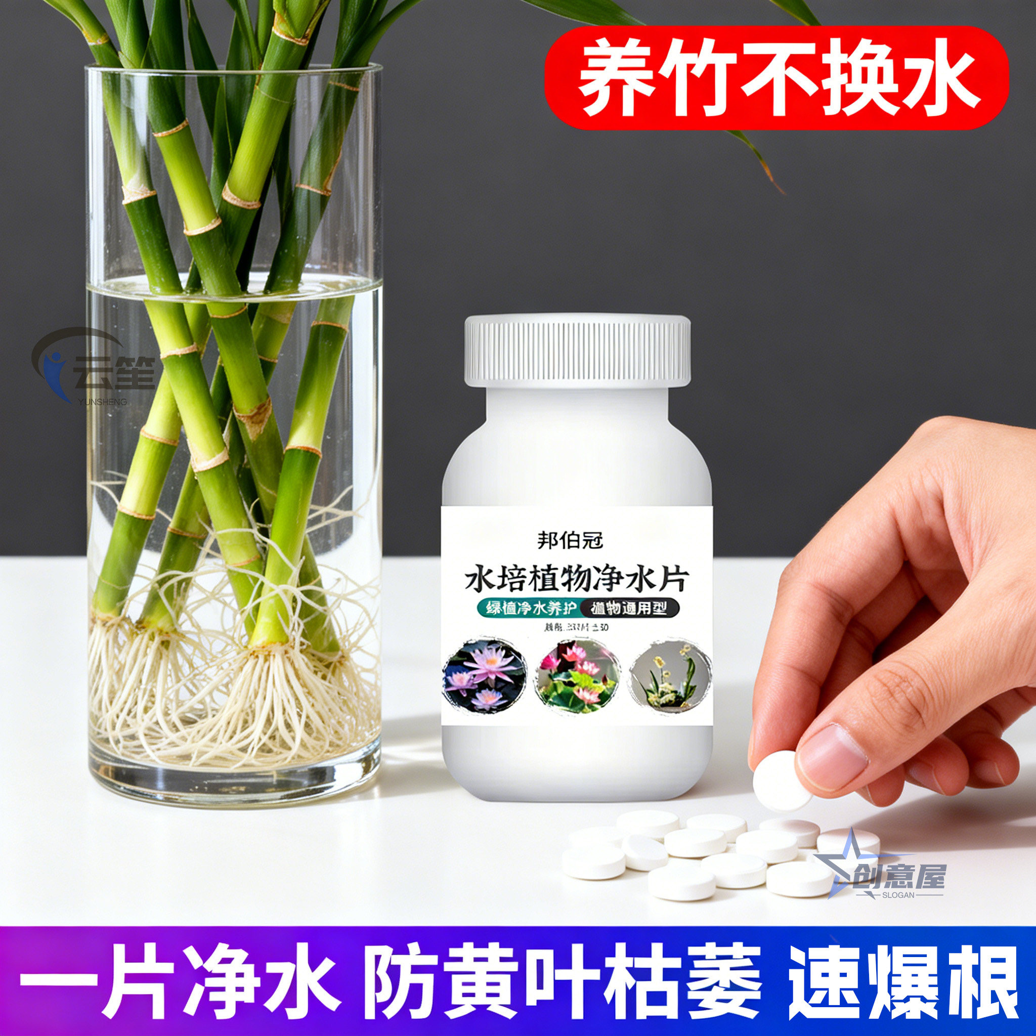 水培植物净水片碗莲富贵竹净水鲜花保鲜片植物爆根复合肥/掺混肥