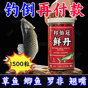 正品新款全能鲜丹新鲜钓鱼全能饵料鱼饵野钓鲫鱼鲤鱼草鳊原装瓶装