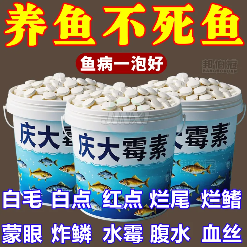 鱼用庆大霉素黄粉鱼药鱼缸消毒杀菌药烂尾烂身水霉锦鲤鱼白点