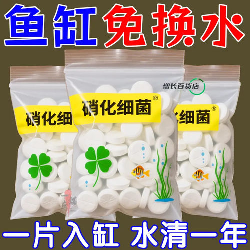 鱼缸不换水【养鱼+养水+杀菌】