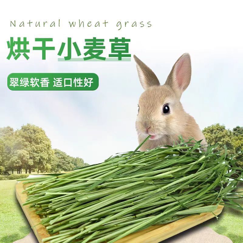 烘干小麦草兔兔干草热风烘干营养不流失幼兔1-3月兔粮侏儒兔粮