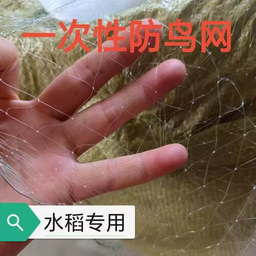 农用一次性防鸟网果园养殖防护