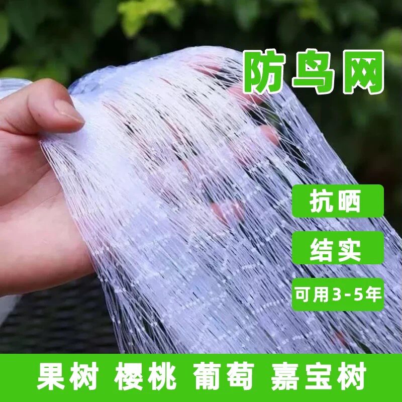 尼龙果园防鸟网樱桃树葡萄围网