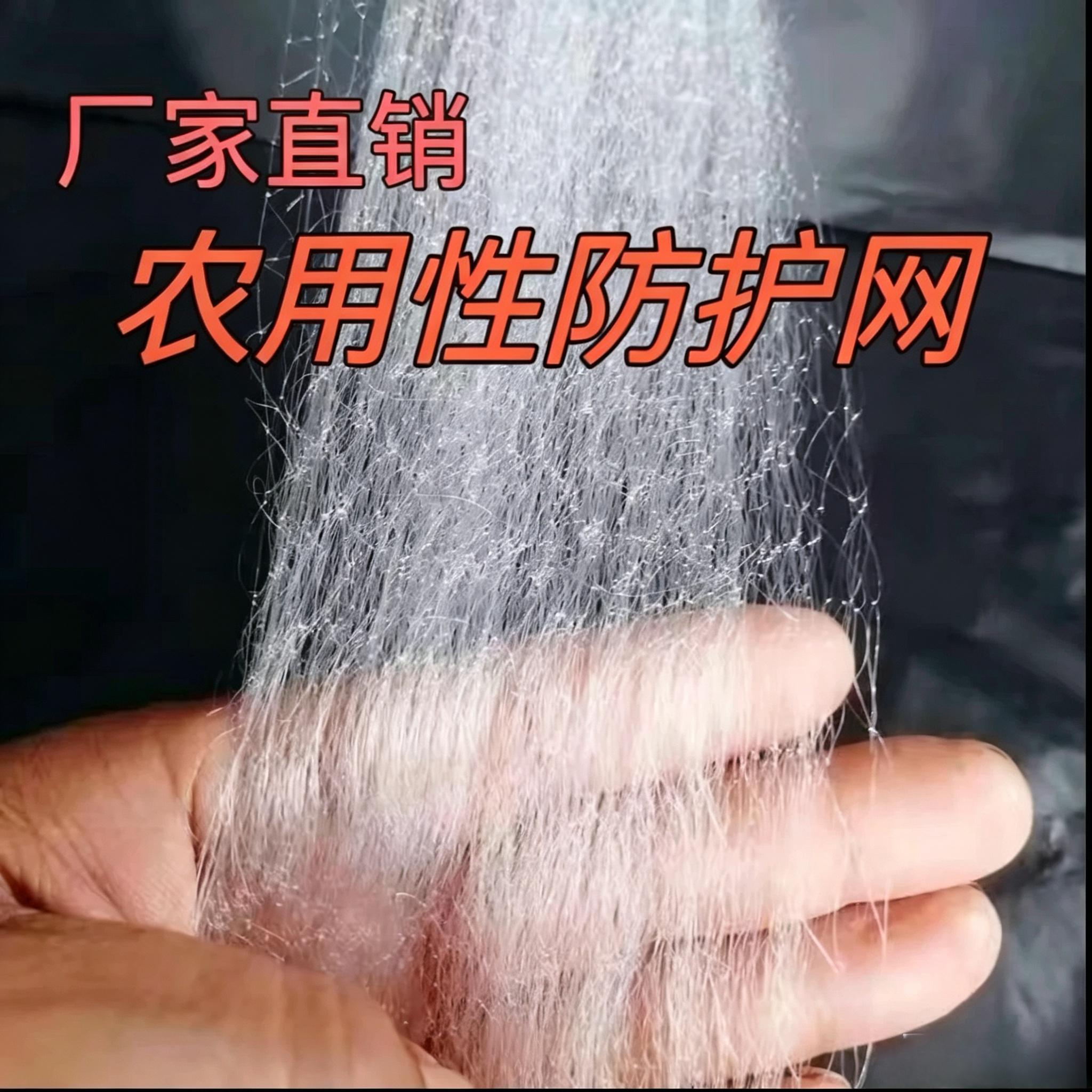 农用草莓大棚通风口防鸟网西瓜大棚口防鸟葡萄果园天网果树防护网