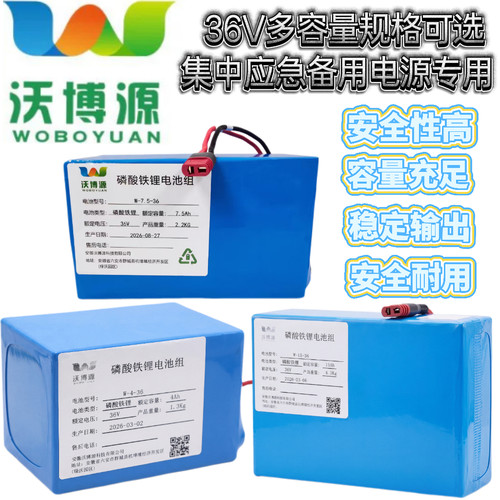 沃博源磷酸铁锂36V应急电源