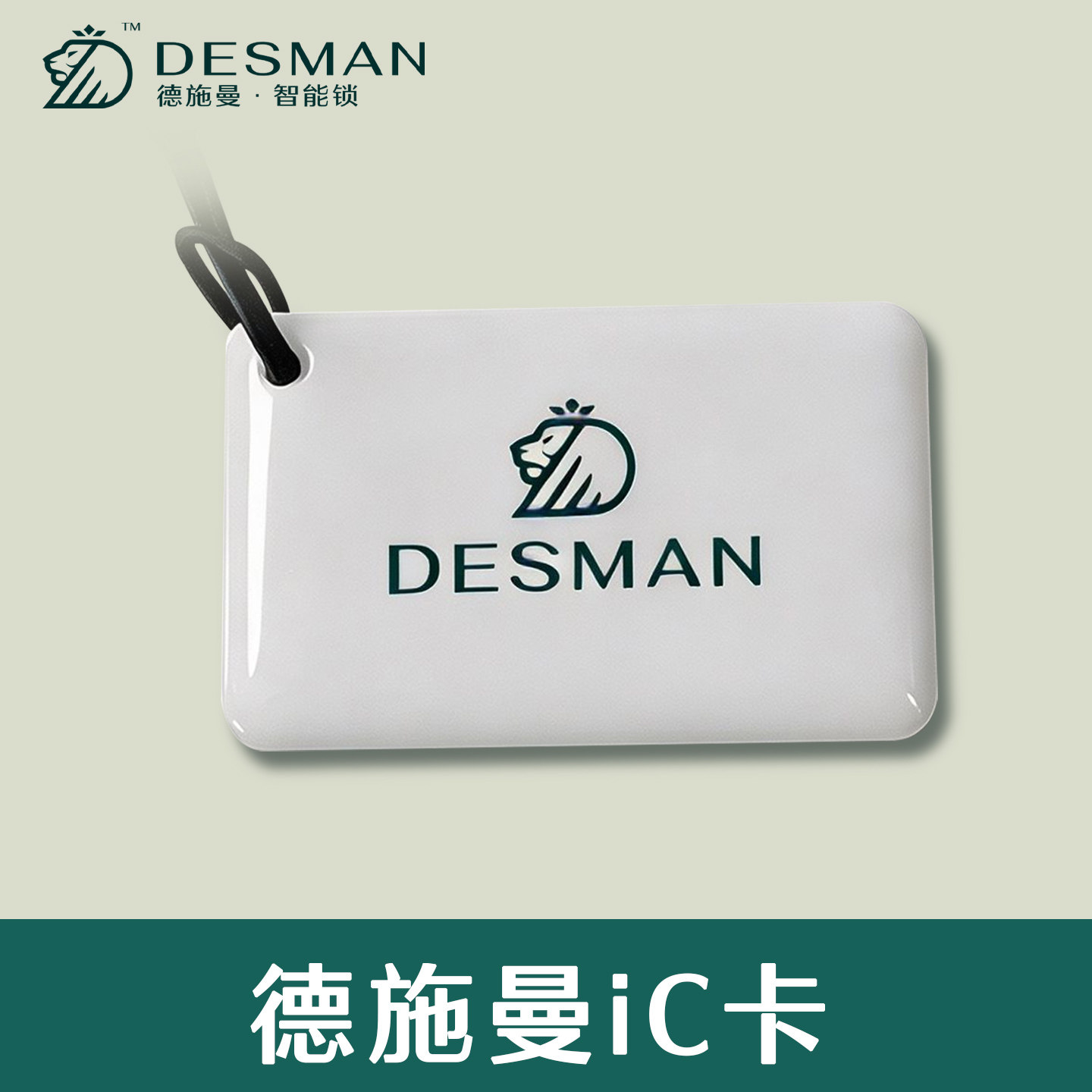 德施曼智能锁配件IC卡图片