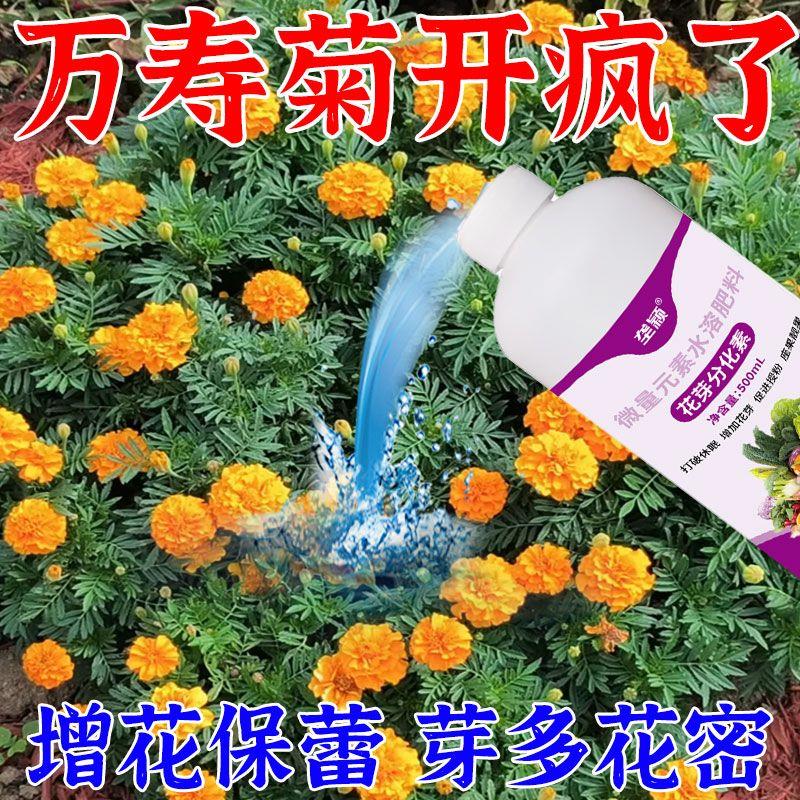 万寿菊膨大促花增蕾防病叶面肥