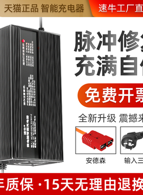 24v15a洗地机扫地车智能充电器12v36伏48v电动叉车充电机手推式