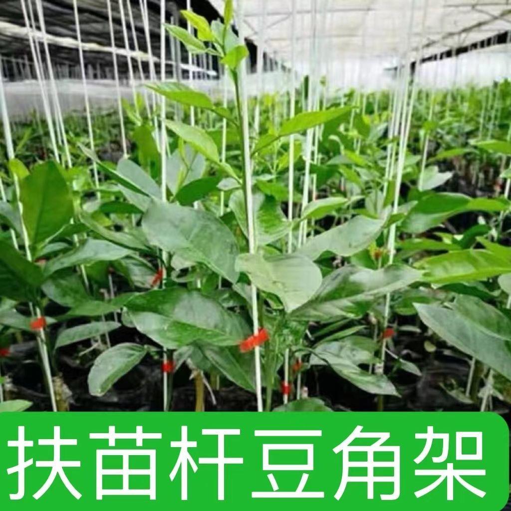 扶苗杆花支架支撑杆支柱园艺植物花架黄瓜豆角丝瓜家用豇豆爬藤