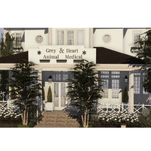 模拟人生4CC房屋mod|Grey&Heart|可经营兽医诊所带家具30x20|#365
