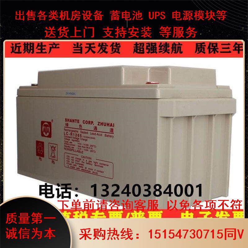 ATA绿色通道蓄电池 LC-R1265 12V65AH/20HR直流屏/UPS电源/消防用