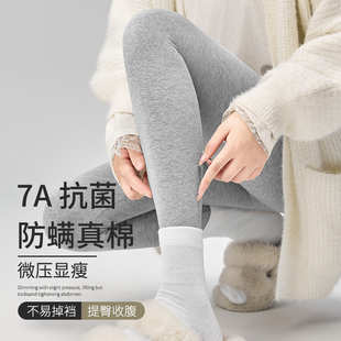 冬季 2025新款 衬裤 女高腰内穿亲肤保暖棉毛线裤 打底 7A抗菌除螨秋裤