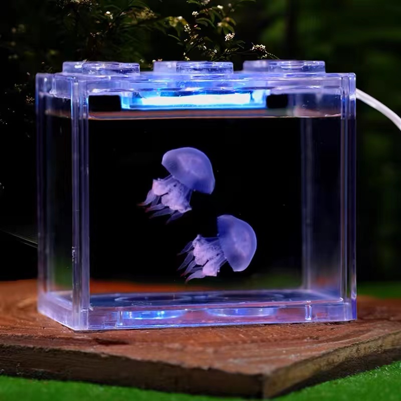 入门气泡水母缸海月倒立