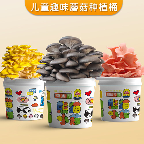 喷水长蘑菇简单种植好吃有趣