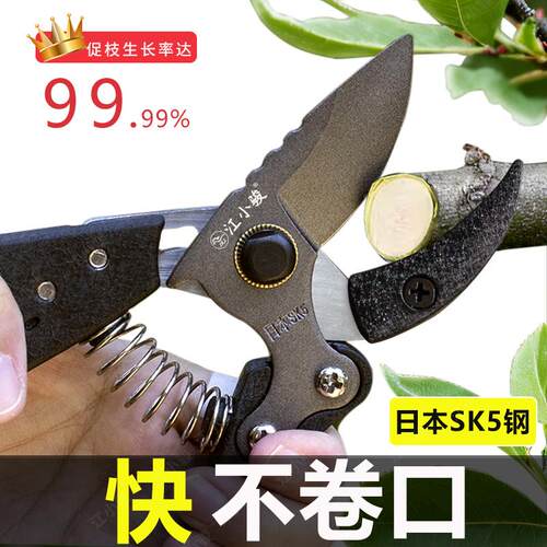日本进口SK5钢园艺剪刀果树修枝剪剪树枝专用剪刀省力修花枝剪刀
