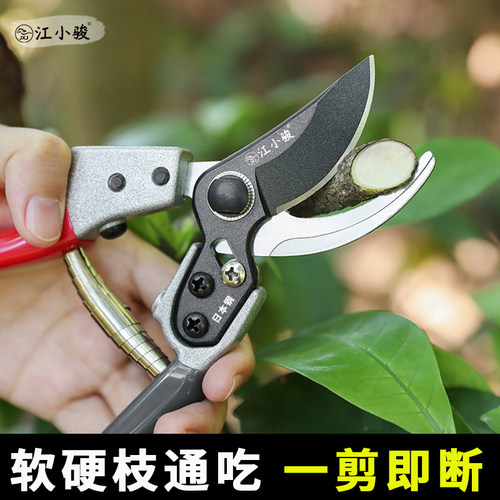 江小骏剪树枝专用剪子修枝剪日本进口钢果树粗枝剪刀家用修花剪刀