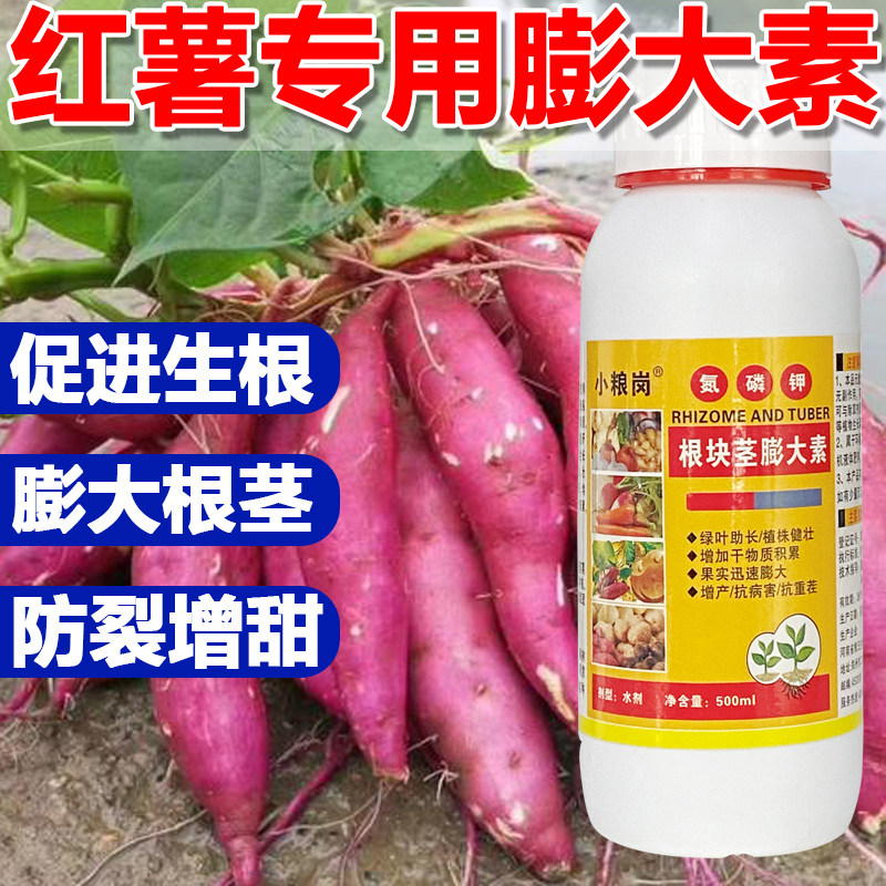 地下专用猛长块茎根茎膨大素膨果剂土豆姜蒜葱山药花生红薯叶面肥