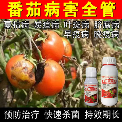 蕃茄专用药番茄病专用预防病害脐腐病灰霉病番茄专用叶面肥