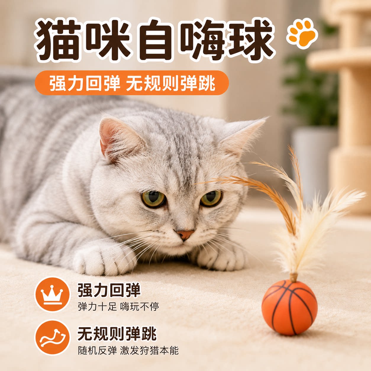 猫咪羽毛弹力球足球篮球棒球图片