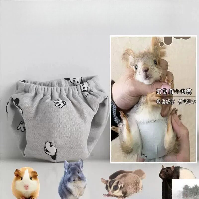 花枝鼠纸尿裤穿戴宠物尿布荷兰猪蜜袋鼬龙猫尿布防乱松仓鼠尿不湿