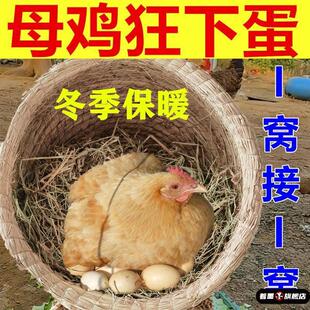 鸡窝草编母鸡搭建抱窝稻草四季大型户外鸽子巢芦丁草编防老式下蛋
