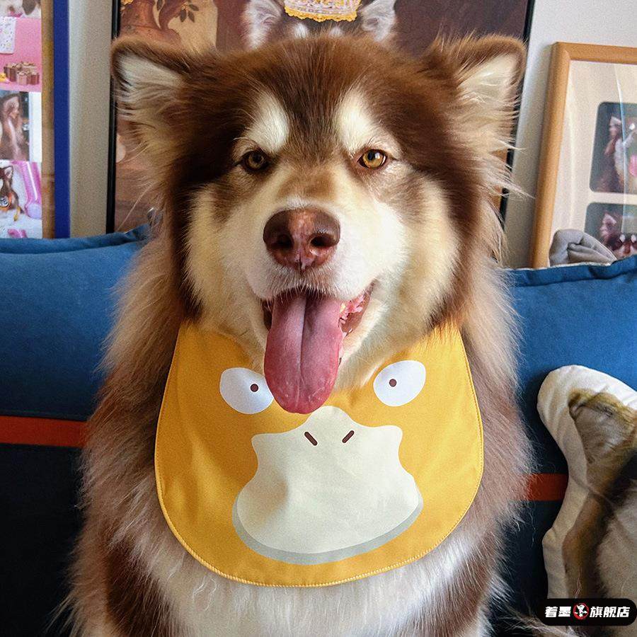 可达鸭鸭宠物可爱口水巾双面可戴加厚可调节中大型犬阿拉猫咪围嘴,宠物/宠物食品及用品,围巾/口水巾,淘宝优惠券,粉丝福利购,淘宝优惠卷