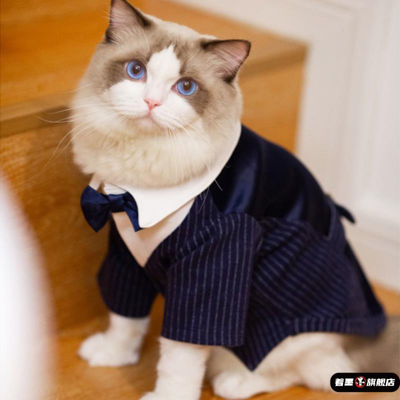 天猫优质好物/收藏加购=优先发货