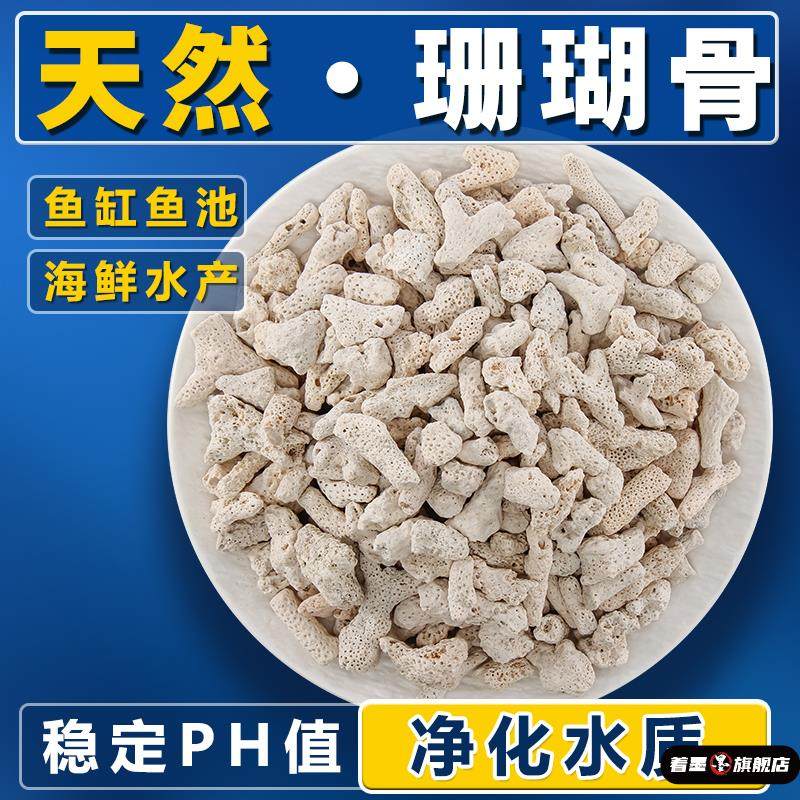 纯天然珊瑚骨鱼缸净化过滤材料珊瑚石造景骨底砂装饰滤材水族箱砂,宠物/宠物食品及用品,过滤材料,淘宝优惠券,粉丝福利购,淘宝优惠卷