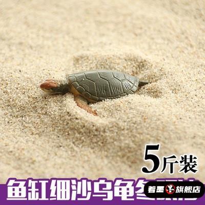 养乌龟的冬眠产蛋沙下蛋沙乌龟细沙土鱼缸沙龟蛋孵化专用细沙沙子