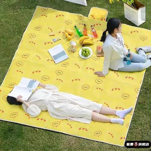 防潮垫野餐加厚户外野炊野营沙滩