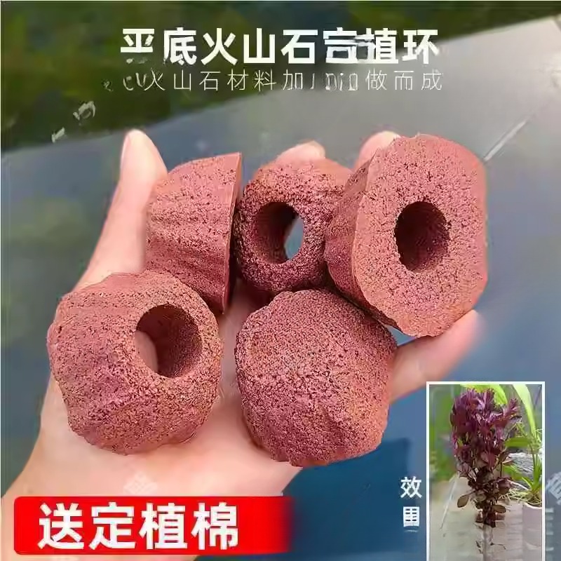平底火山石水草定植环陶瓷水草固定神器培菌