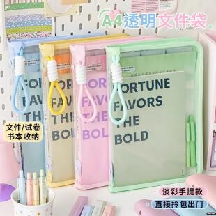 淡彩色文件袋高颜值手提拉链袋拎书袋A4透明文件收纳袋大学生考试专用袋子可装课本中小学生补习袋
