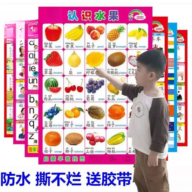 婴儿早教贴纸宝宝看图识物小儿识字挂图幼儿启蒙学前儿童贴墙画无