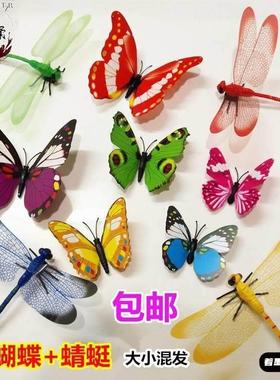 新款蜻蜓塑料蝴蝶别针窗帘装饰3d