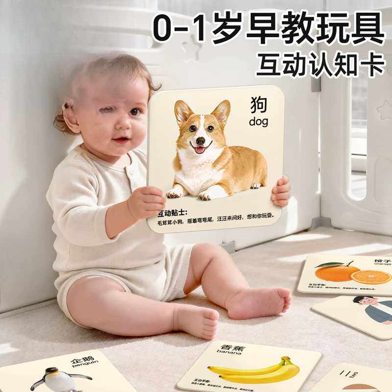 宝宝可啃咬早教认知卡片卡婴幼儿益智玩具1岁6个月以上智力开发卡