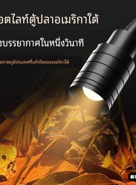 【循环定时三色】USB5V鱼缸调焦射灯南美缸造景水草灯原生缸led灯